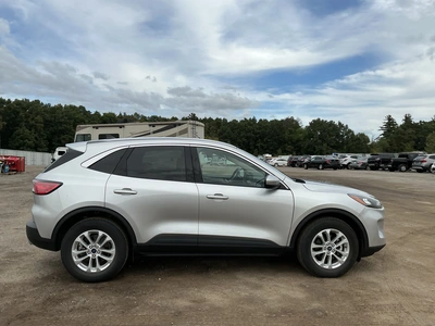 Used 2020 FORD ESCAPE SUVs Michigan US | Miedema Asset Management Group #1476843