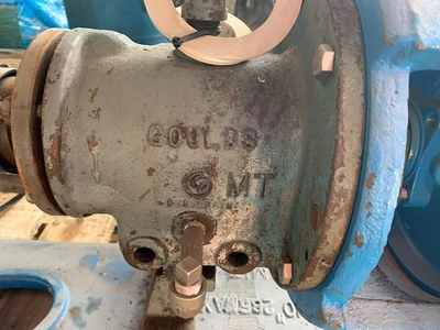 USED Goulds 3196 MT