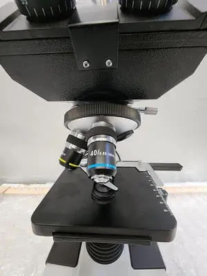 SPLIT FIELD MICROSCOPE WITH EYE PIECES, 4X4 ILLUMINATED STAGE, 3 OBJECTIVES