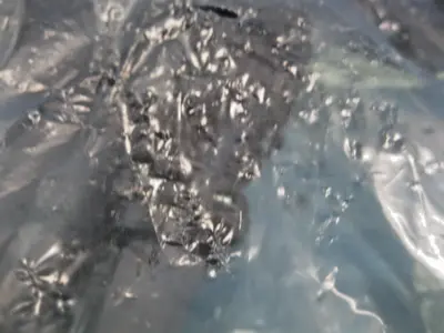 NEW SMC VVFS2000-30A-3