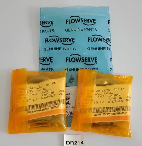 NEW Flowserve 19A19N12