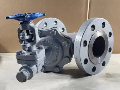 3" Class 300 Check Valve w/ Velan 3/4" Class 800 Gate Valve C-2054B-02TY