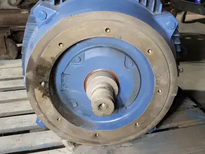 NEW WEG W21