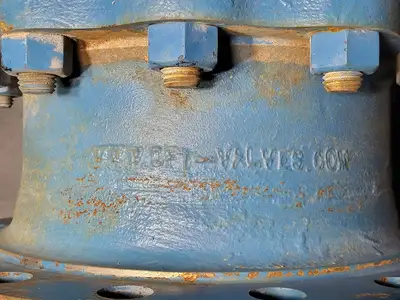 10" Class 300 Flanged Check Valve B16.34