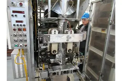 Package Machinery TWH-2 ff&s bagger w/ printer & inline hopper