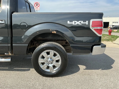 Used 2012 FORD F-150 Pickup Trucks Michigan US | Miedema Asset Management Group #1413888
