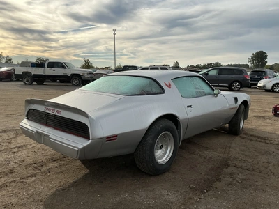Used 1979 PONTIAC TRANS-AM Classic Cars & Trucks Michigan US | Miedema Asset Management Group #1484147