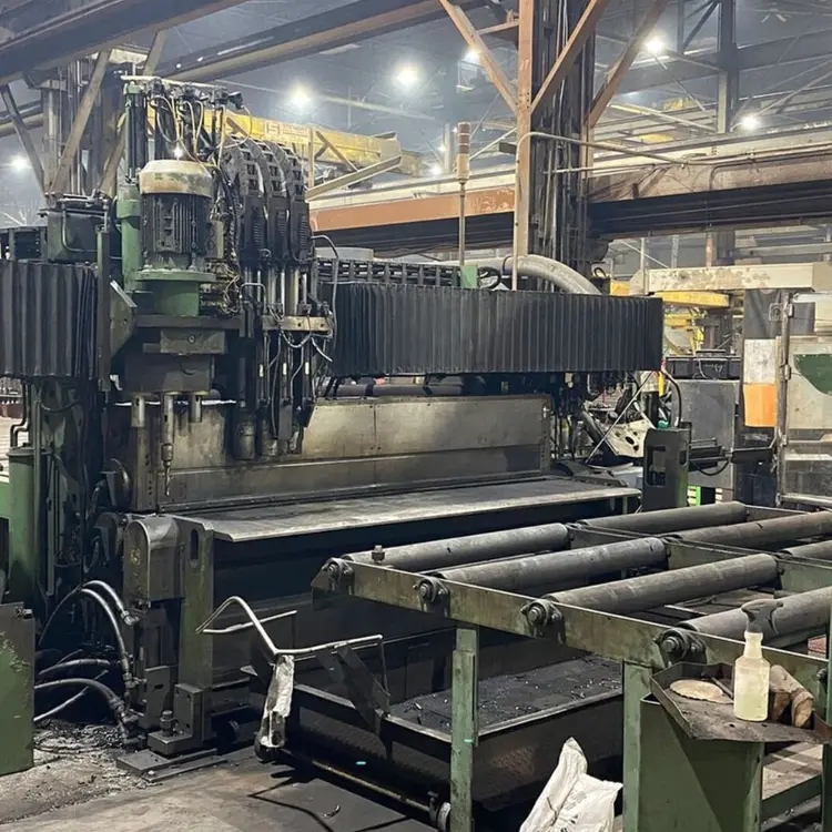 Used 2005 PEDDINGHAUS FDB-2500 Single Station Punches Illinois US | Revelation Machinery #403142