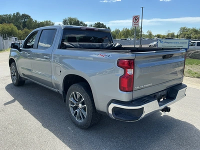 Used 2025 CHEVROLET SILVERADO 1500 Pickup Trucks Michigan US | Miedema Asset Management Group #1423560