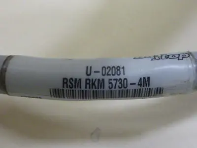 USED TURCK ELEKTRONIK RSM RKM 5730-4M
