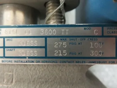 Neles Jamesbury Wafer-Sphere Valve 4"-150