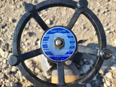 NEW 2013 BERIC VALVES 502S78B12N-NACE