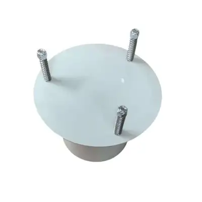 Belgrade 8″ Pressure Relief Valve | Iron Listing (2)