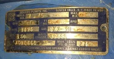 Goulds 3196 MTX 2x3x10 SS Pumps (2 Available)