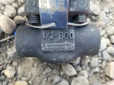 1/2" Class 800 Check Valve API 602