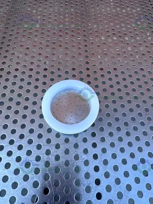 Unknown Stainless Steel Gas Distribution Plate 3"