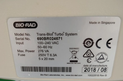 Used BIORAD _UNKNOWN_ Western Blotting California US | Biotech Equipment Sales #1464597