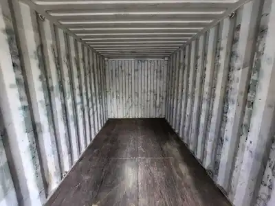 20 ft Standard Shipping Container - CAXU3204980