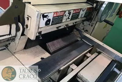 USED 2001 RAIMANN VARIORIP KM 310 BV GANG RIP SAW