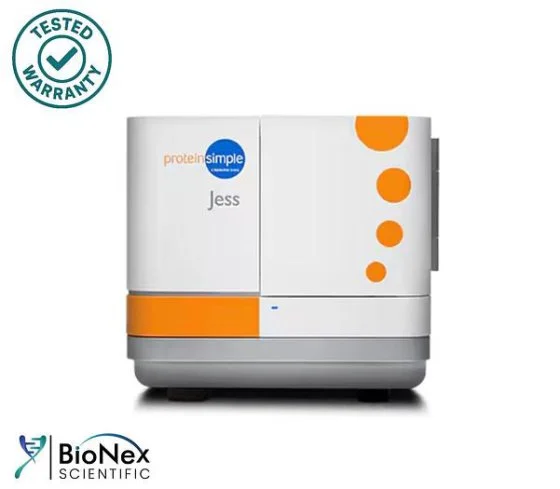 Used PROTEINSIMPLE JESS Electrophoresis New Jersey US | Bionex Scientific LLC #800230