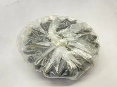 New | in-Stock Simplimatic Sprocket 20mm Bore 40B21T Parts & Accessories (Material Handling) Michigan US | Maverick Industrial Sales #1400786