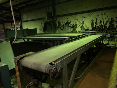 Newman Belt Conveyor 30" x 20' Long
