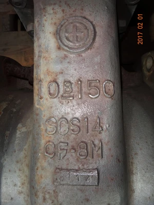 Wada 10", Class 150, CF8M, Gate Valve