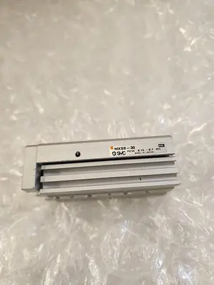SMC MXS8-30