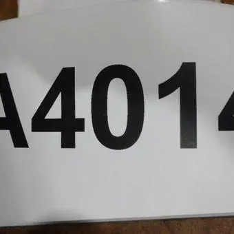 USED AMETEK RS 200MB-12