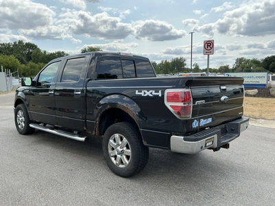Used 2013 FORD F150 Pickup Trucks Michigan US | Miedema Asset Management Group #1423579