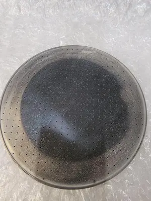SPTS SHOWER HEAD 110511 ALCT081045