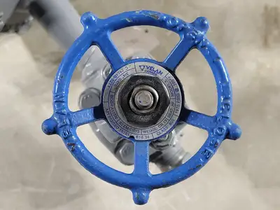 3" Class 300 Check Valve w/ Velan 3/4" Class 800 Gate Valve C-2054B-02TY