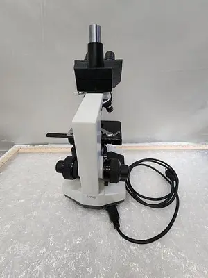 SPLIT FIELD MICROSCOPE WITH EYE PIECES, 4X4 ILLUMINATED STAGE, 3 OBJECTIVES