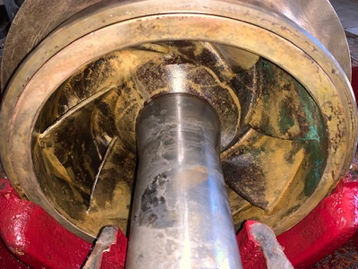 USED Goulds 3410