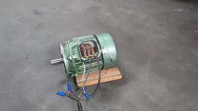 Bauknecht 6.6 kW Electric Motor 230/460V 3 Phase 1740 RPM 1-1/2" Shaft Dia.
