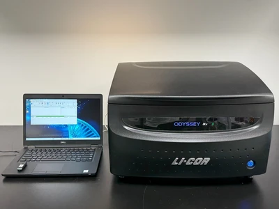 Used LI-COR 9142 Imaging Systems / Molecular Imagers Missouri US | BioLabTek #1464007