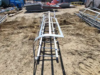 13.5ft. Steel Caged Ladder