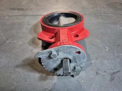 4" Butterfly Valve