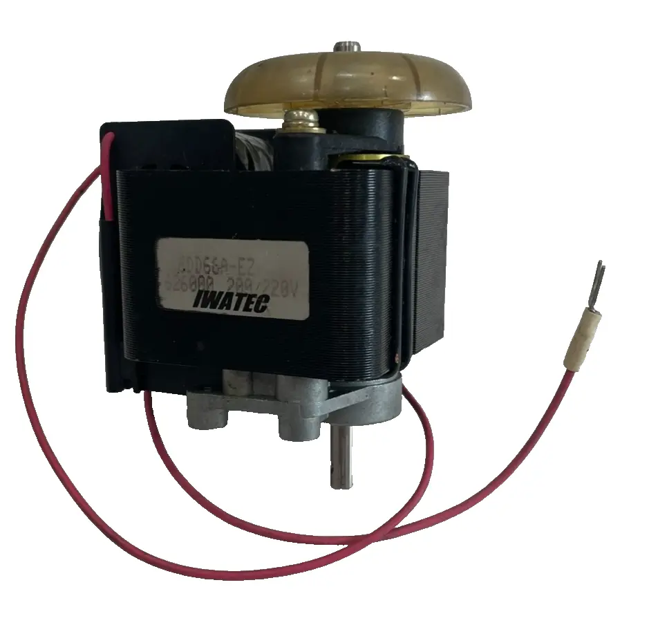 NEW IWATEC 6DD66A-EZ MOTOR 20A 220V 6DD66AEZ