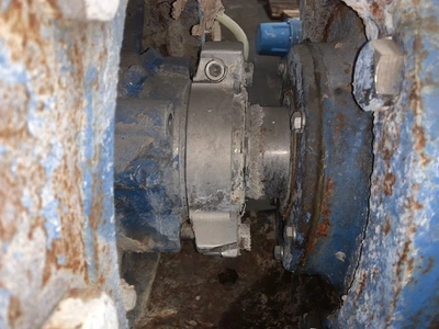 USED Goulds 3175