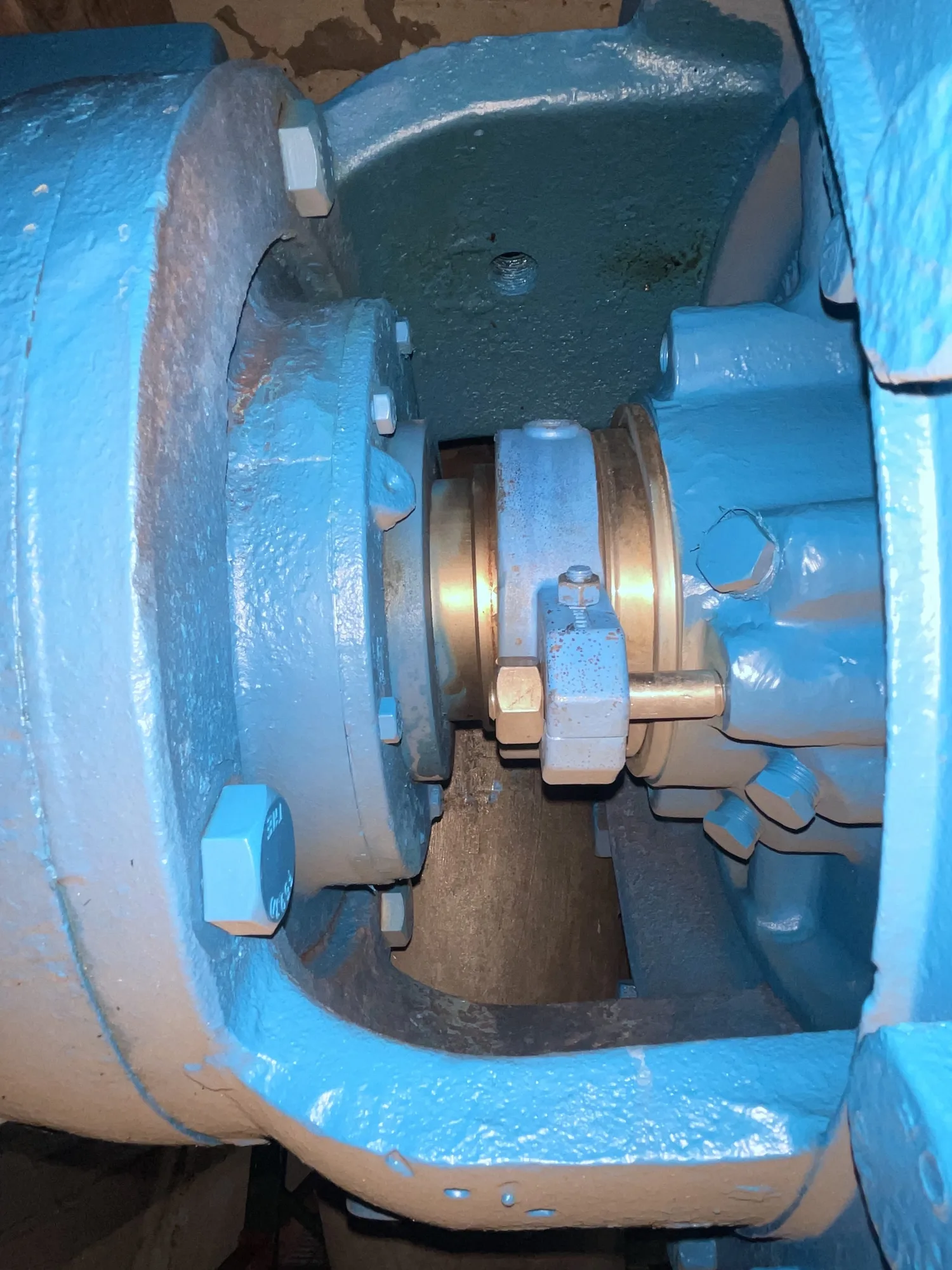 USED Goulds 3175