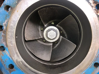 USED Goulds 3180XL