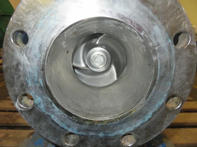 USED Goulds 3175