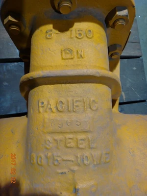 Pacific 8", Class 150, WCB, Gate Valve
