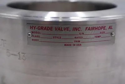 Hy-Grade Valve Inc Stainless Steel T01-06G-10FFX S/N 1T27749 Class 150 NEW #2571