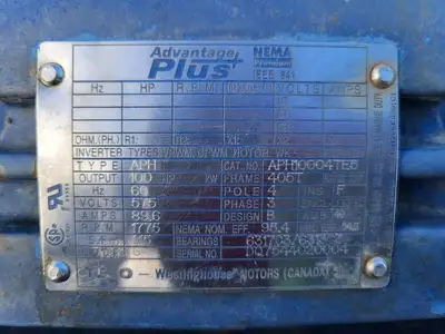 USED GOULDS 3196