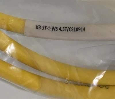 NEW Turck KB 3T-1-WS 4.5T/CS10914