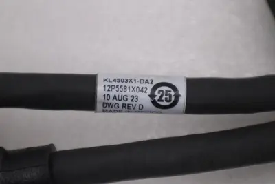 EMERSON KL4503X1-BA1/ 12P5446X062 REV L STOCK 1831B