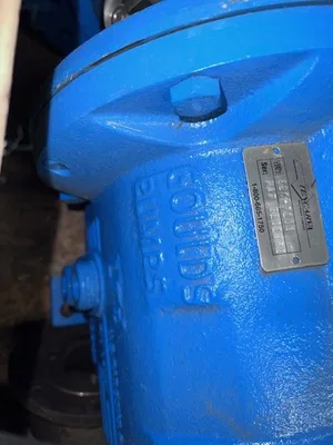 USED Goulds 3196LTi