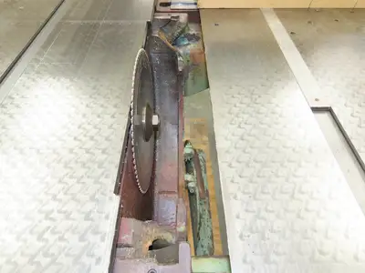 Tannewitz Woodworking Table Saw 20" Blade 5hp 230/460V 72" Biesemeyer Fence